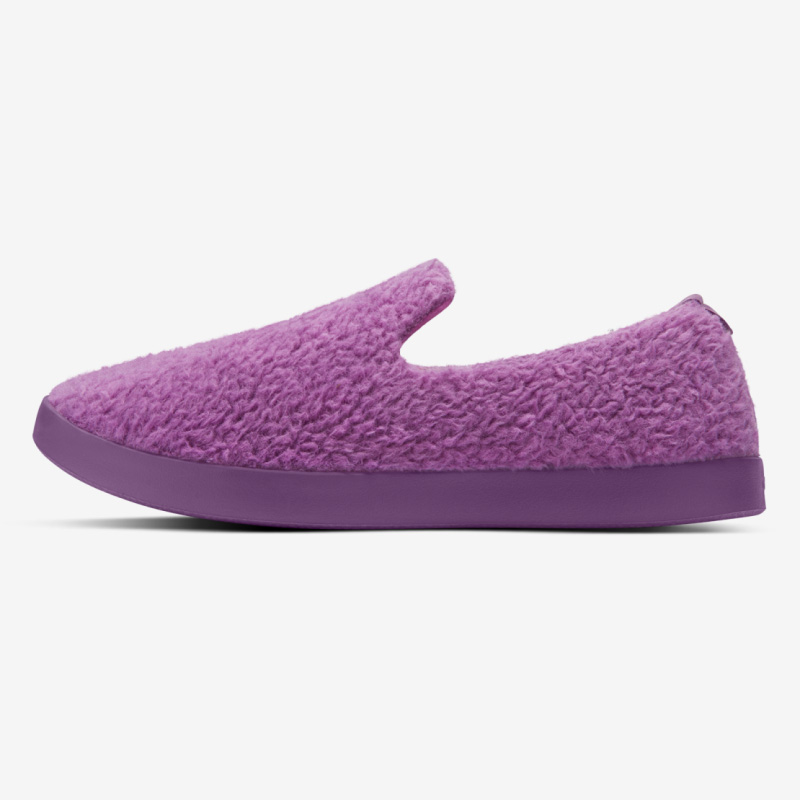 Women's Wool Lounger Fluffs - Lux Purple ID=cJGVcrOw